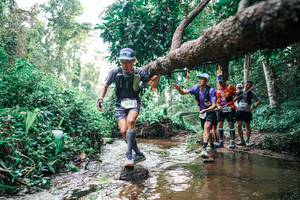 BIB: 
                            <button type="button" onclick="openModal(25369080)" class="btn btn-primary btn-sm float-right btn-popup" data-toggle="modal" data-target=".modal-high-quality">
                        <i class="fas fa-shopping-cart"></i> Add to Cart
                    </button>
                                            <button type="button" onclick="isThisMe(25369080, true)" class="btn btn-success btn-sm float-right btn-popup btn-isme hidden" data-toggle="tooltip" data-placement="bottom" title="นี่คือรูปของคุณใช่ไหม คลิกที่นี่เพื่อเอาเข้าอัลบั้ม">
                        <i class="fas fa-plus"></i> Add to album
                    </button>
                    <button type="button" onclick="isThisMe(25369080, false)" class="btn btn-warning btn-sm float-right btn-popup btn-isnotme hidden">
                        <i class="fas fa-ban"></i> Remove from album
                    </button>